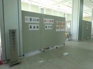 R5展示会