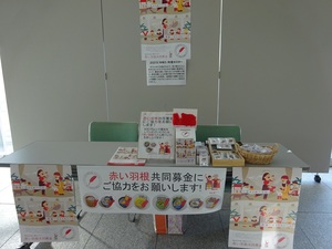 R5展示会3