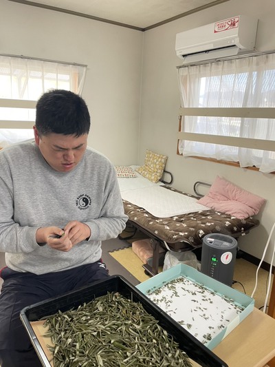 アースハーモニー